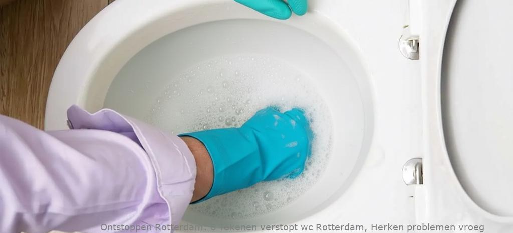 6 Tekenen verstopt wc Rotterdam, Herken problemen vroeg